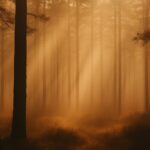 Imagen horizontal cálida y emocional de un paisaje natural en tonos tierra, transmitiendo calma, introspección y serenidad interior